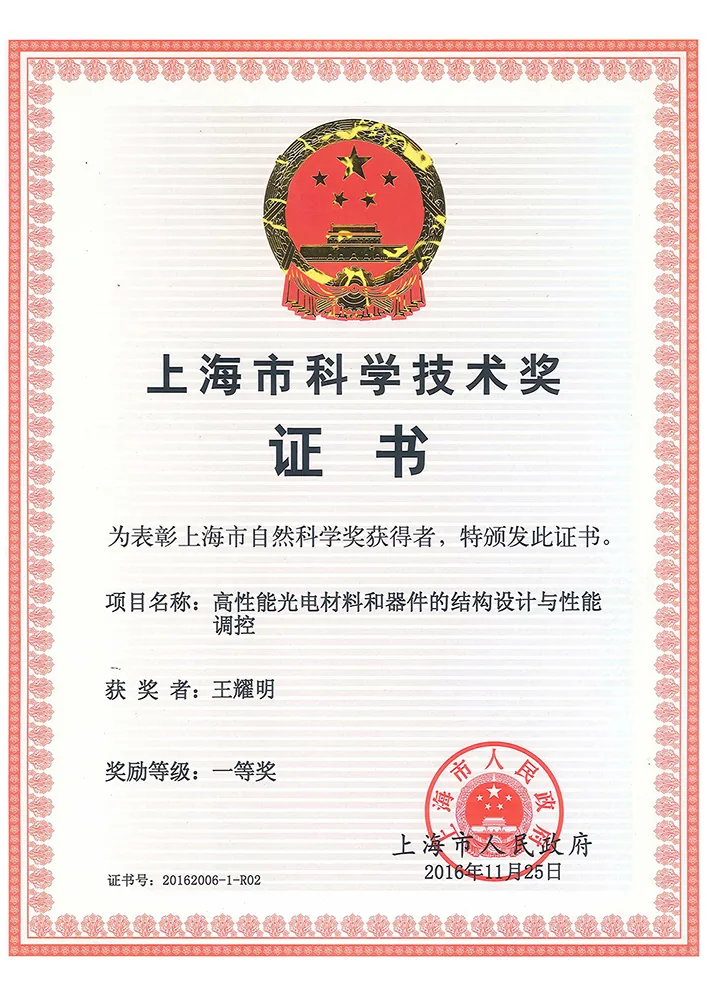 上海市自然科学賞一等賞